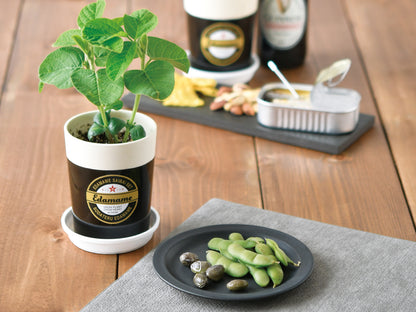 Branch bean cultivation kit Edamame